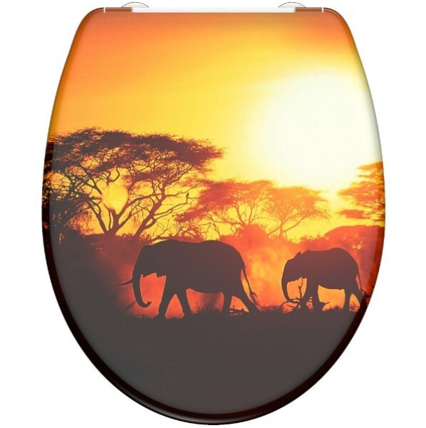 Schütte AFRICA | Duroplast, Soft Close 4008431823607