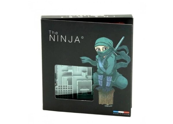 Legend: The Ninja