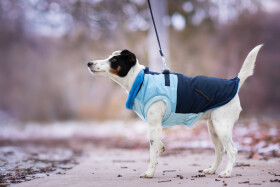Aston obleček pro psa na zip Barva: Modrá, Délka zad (cm): 33, Obvod hrudníku: 40 - 50 cm