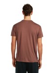 ICEBREAKER Mens Mer Core SS Tee Canoe Companions, Carob velikost: L