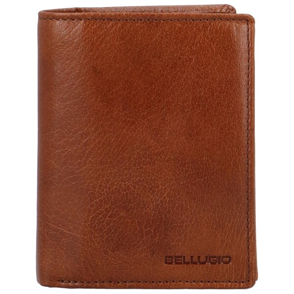 Pánská kožená peněženka na výšku Bellugio Levian, koňaková
