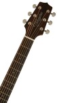 Takamine GD20CE-NS