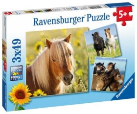 Ravensburger Koně 3 x 49 dílků