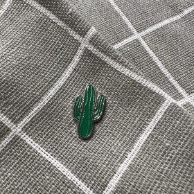 Pinarna.cz Zelený kaktus