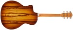 Taylor 214ce Plus Special Ziricote