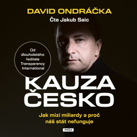 Kauza Česko - David Ondráčka - audiokniha