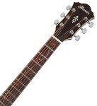 Ibanez AE245 Natural