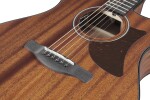 Ibanez AAM54CE Natural (rozbalené)