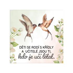 Magnetka - Učitelé