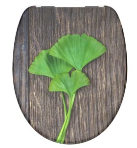 Schütte GINGKO und WOOD | Duroplast, Soft Close 4008431821542