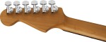 Charvel Pro-Mod Plus Dinky DK24 HSS 2PT EB QM Zombie Fade