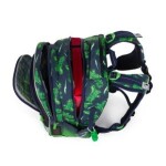 Bagmaster LUMI 25 C malý školní set pro prvňáčky – dinosaurus