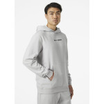 Helly Hansen Core Graphic Sweat Hoodie M 53924 825 L
