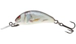 Salmo Wobler Hornet Floating 5cm - Real Dace,Salmo Wobler Hornet Floating 5cm - Real Dace