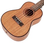 Cascha HH 2036 CZ Concert Mahogany Ukulele Bundle