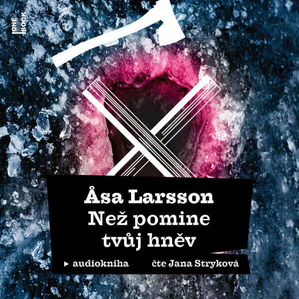 Než pomine tvůj hněv - Äsa Larssonová - audiokniha