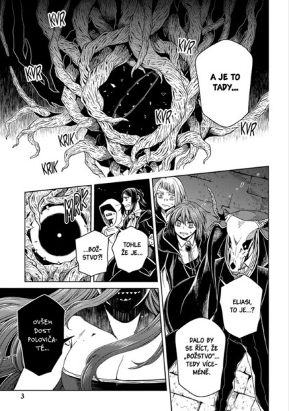 Čarodějova nevěsta 19 - Kore Jamazaki