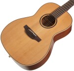 Takamine P3NY