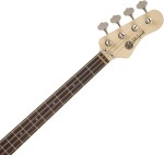 AV Basses AVP4 BassTheWorld VW