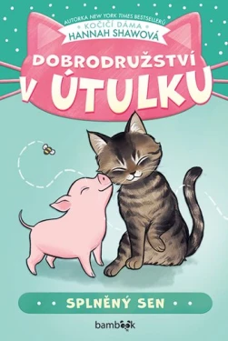 Kniha: Dobrodružství v útulku – Splněný sen od Shawová Hannah