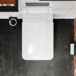 HANSGROHE - EluPura Q Závěsné WC se sedátkem SoftClose, Rimless, HygieneEffect, bílá 62023450