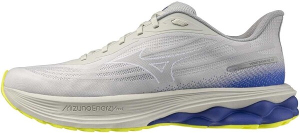 Běžecké boty Mizuno WAVE SKYRISE 7 J1GC260902 Velikost obuvi v EU: 42