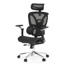 Kancelářská židle, synchronní mechanismus, černá síťovina, KA-B2363 BK