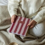 Busy B Kroužkový plánovací diář To Do A5 Stripe 2026, růžová barva, papír