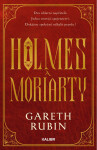 Holmes a Moriarty - Gareth Rubin