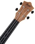 Flight TUS-50 Walnut
