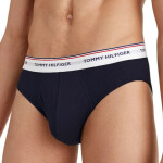 Tommy Hilfiger Spodní prádlo 3P Brief M 1U87903766 S