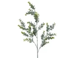 Umělá rostlina Eukalyptus 73 cm, zelená