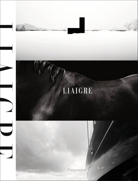 Liaigre: 12 Projects - Christian Liaigre