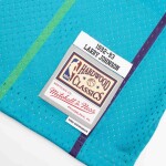 Mitchell & Ness Pánský dres Charlotte Hornets NBA Larry Johnson #2 1992-93 Swingman Velikost: L