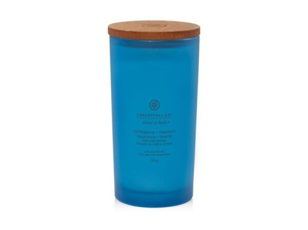 Vonná svíčka CHESAPEAKE BAY CANDLE Confidence & Freedom 355g