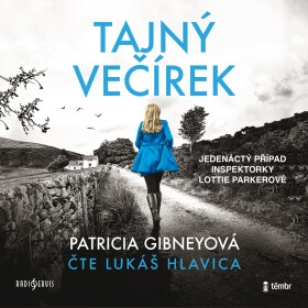 Tajný večírek - Patricia Gibneyová - audiokniha