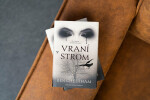 Vraní strom - Ben Cheetham