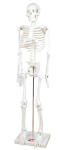 TickiT Kostra 85cm (model v měřítku 1/2)