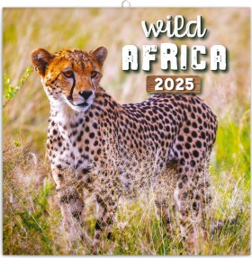 Poznámkový kalendář Divoká Afrika 2025, 30 30 cm