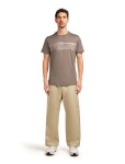 Pánské merino triko s krátkým rukávem ICEBREAKER Mens 150 Tech Lite SS Tee Elevation Line, Porcini velikost: L