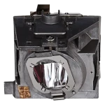 Viewsonic RLC-109 / náhradní lampa pro projektory PA503W/PG603W/PS600W/PS501W (RLC-109)