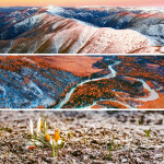 Nástěnný poznámkový kalendář 2026 NOTIQUE - Paleta, 30 x 30 cm - BEZ ČEŠTINY