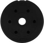 ZIPRO Kulatá zátěž 1.25 kg (1658560)