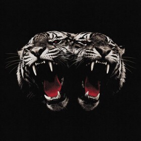 CD Royal Blood: Dead Company - Royal Blood