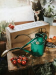 HAWS Konvička s kropítkem Rowley Ripple Green – 1 l, zelená barva, kov