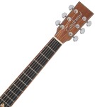 Tanglewood TWX6CEPW