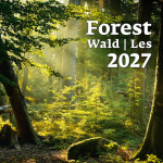 Nástěnný kalendář 2027 Helma Les
