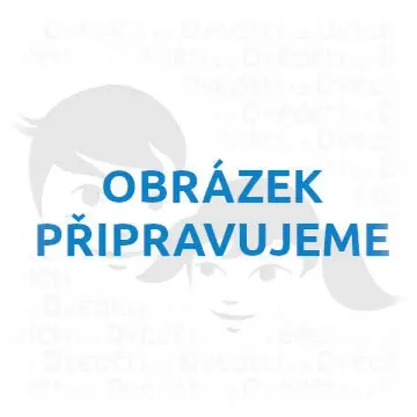 2KIDS TOYS 3D dřevěná magnetka Památky Prahy