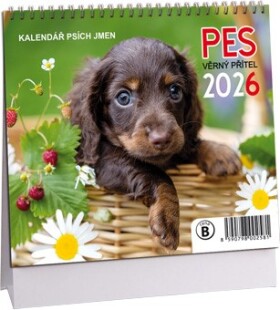 Stolní kalendář ARIA 2026 MINI - Pes - věrný přítel