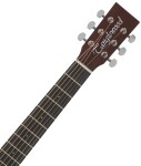 Tanglewood TWCR T